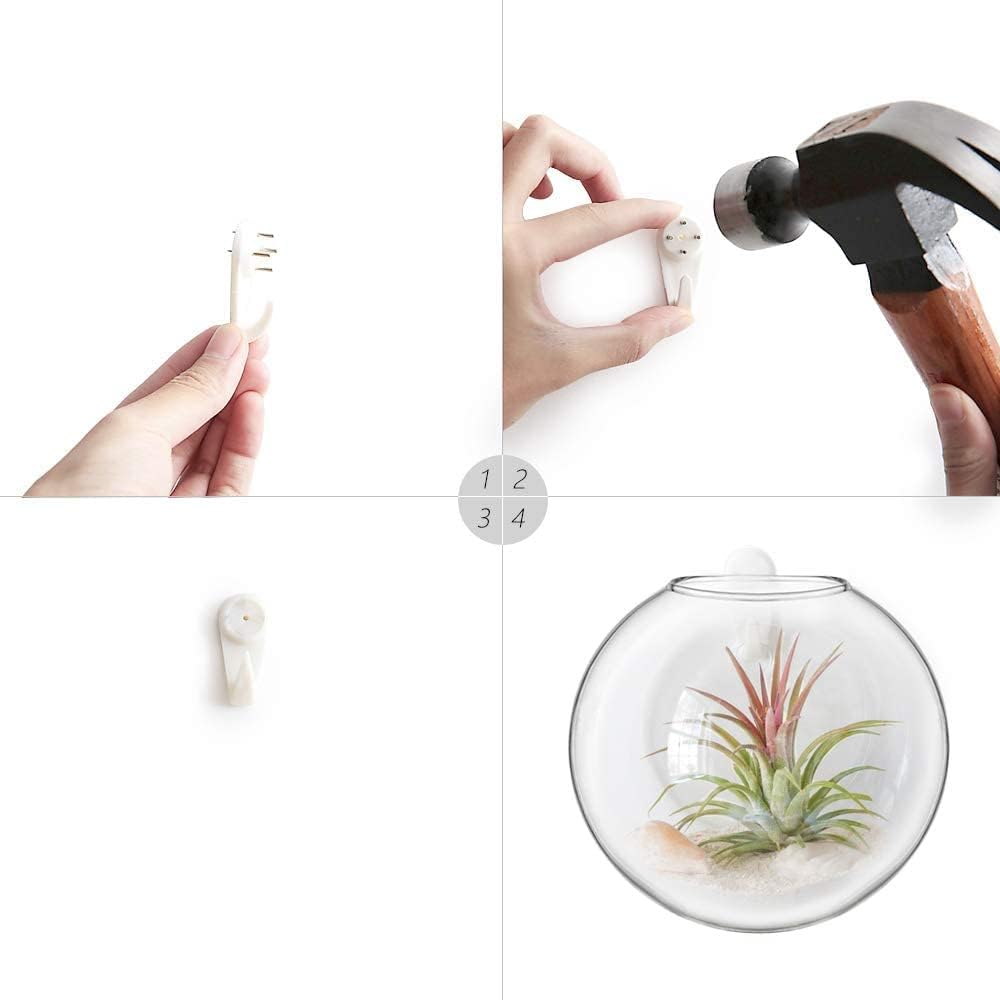 Mkono Wall Hanging Glass Terrariums Planter Oblate Flower Vase for Hydroponics Plants, Bathroom, Home Office Living Room Decor, Set of 6