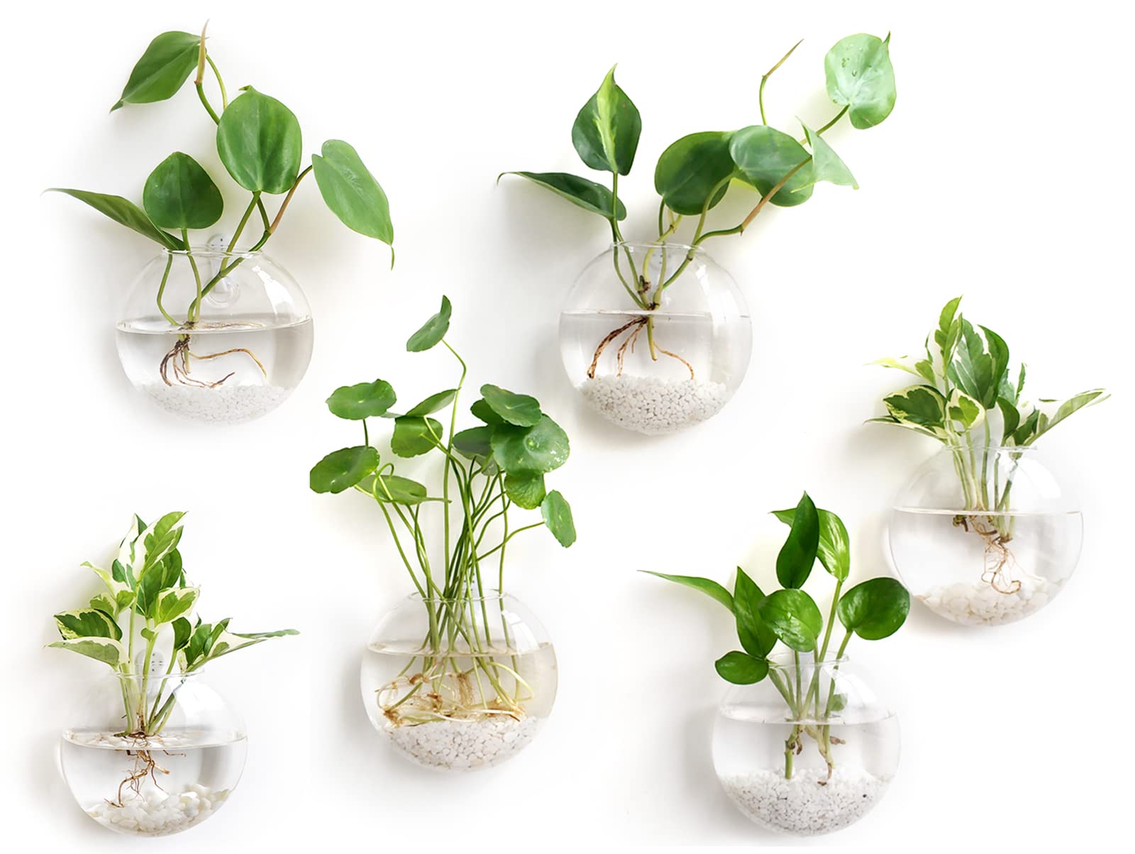 Mkono Wall Hanging Glass Terrariums Planter Oblate Flower Vase for Hydroponics Plants, Bathroom, Home Office Living Room Decor, Set of 6