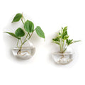 Mkono Wall Hanging Glass Terrariums Planter Oblate Flower Vase for Hydroponics Plants, Bathroom, Home Office Living Room Decor, Set of 6