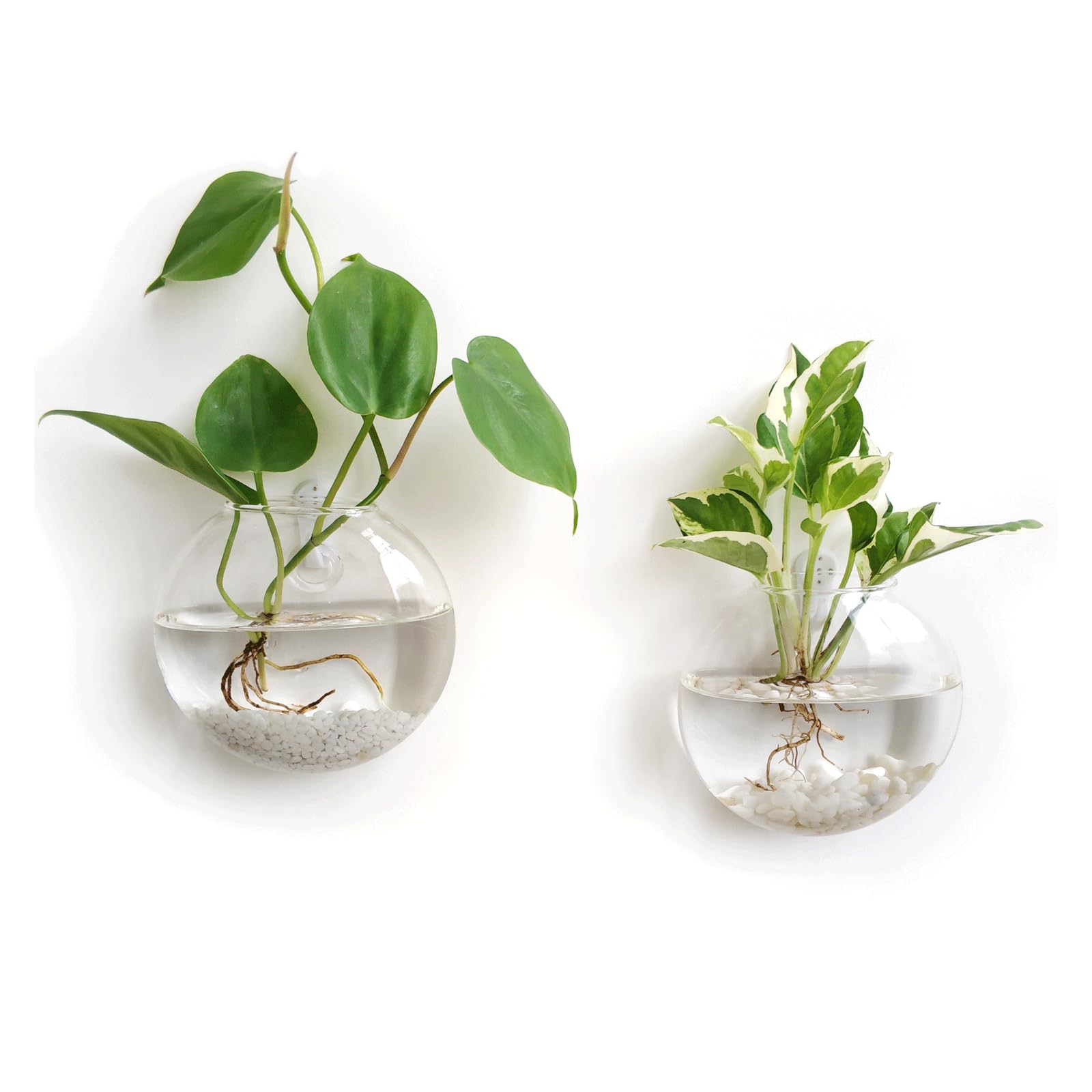 Mkono Wall Hanging Planter Propagation Station Glass Flower Vase for Hydroponics Plants, Bathroom, Home Office Living Room Decor Gift, Oblate Set of 4
