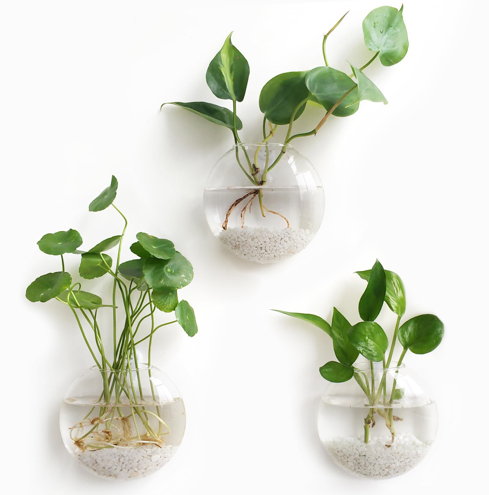 Mkono Wall Hanging Planter Propagation Station Glass Flower Vase for Hydroponics Plants, Bathroom, Home Office Living Room Decor Gift, Oblate Set of 4