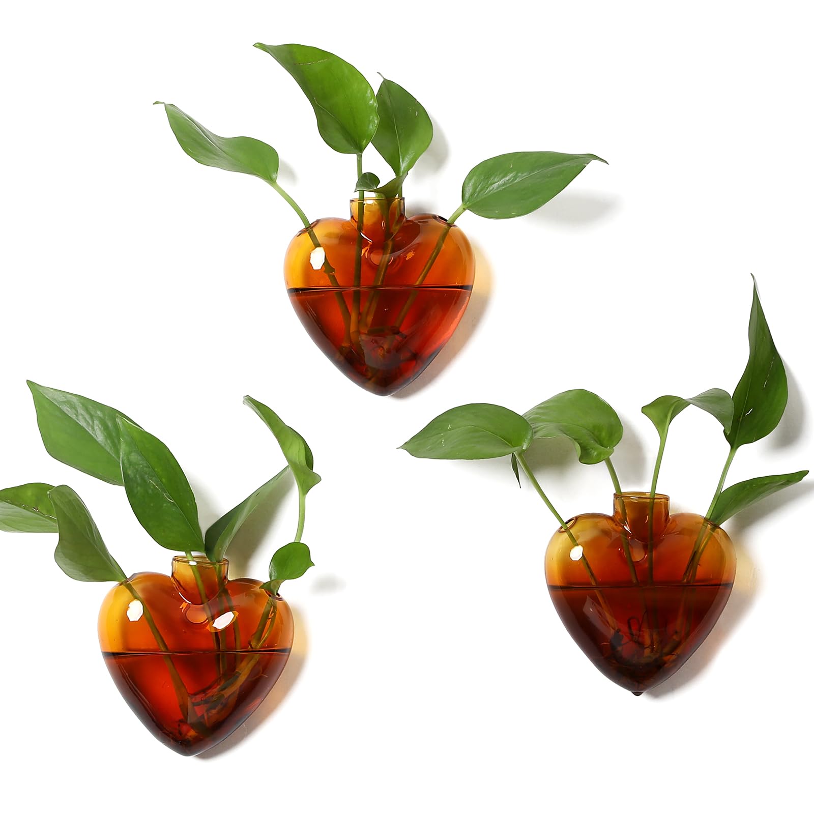 Wall Hanging Planter Propagation Station for Indoor Plants Glass Vase Air Plant Holder Gift for Women Girlfriend Plant Lover