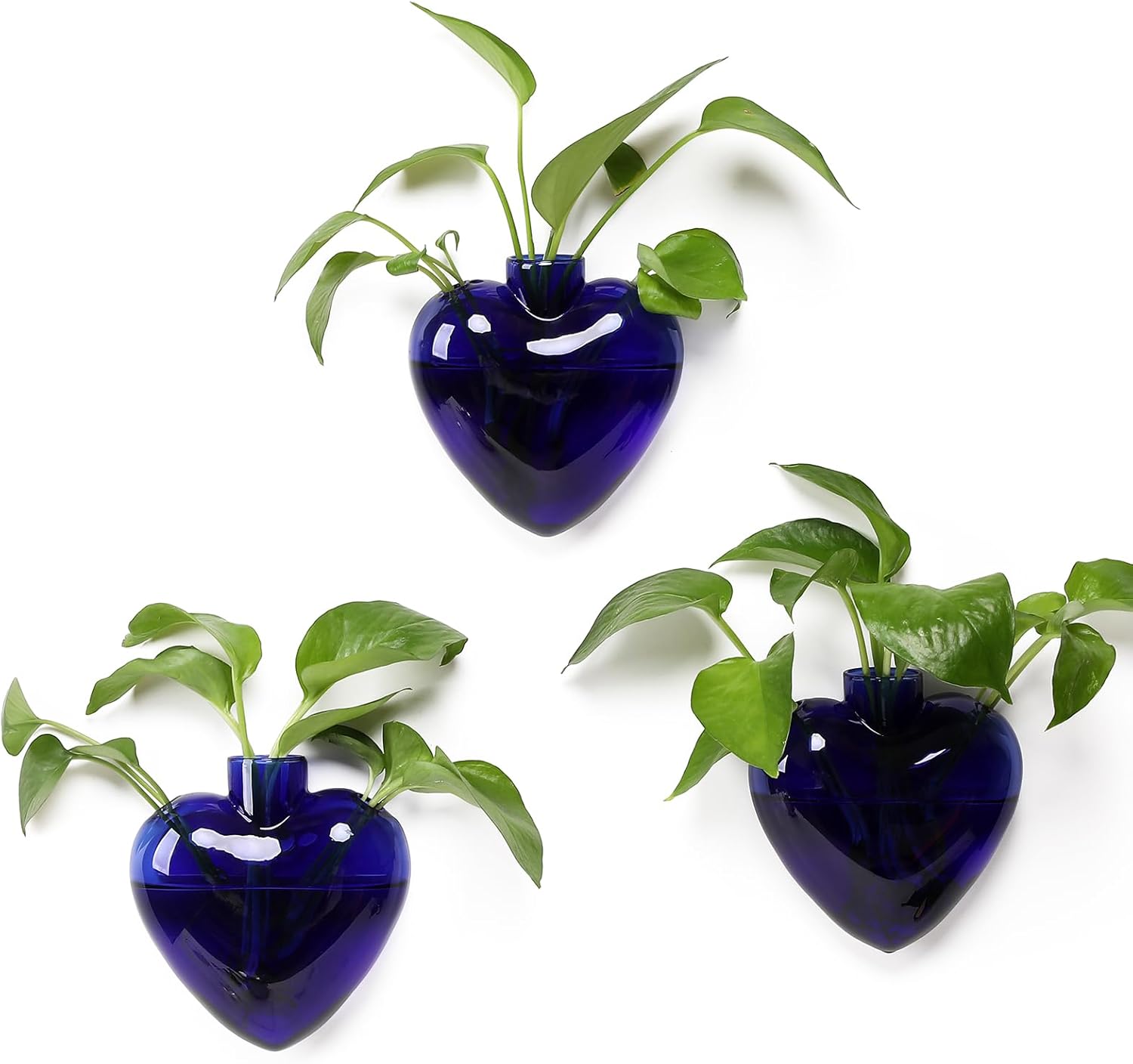 Wall Hanging Planter Propagation Station for Indoor Plants Glass Vase Air Plant Holder Gift for Women Girlfriend Plant Lover