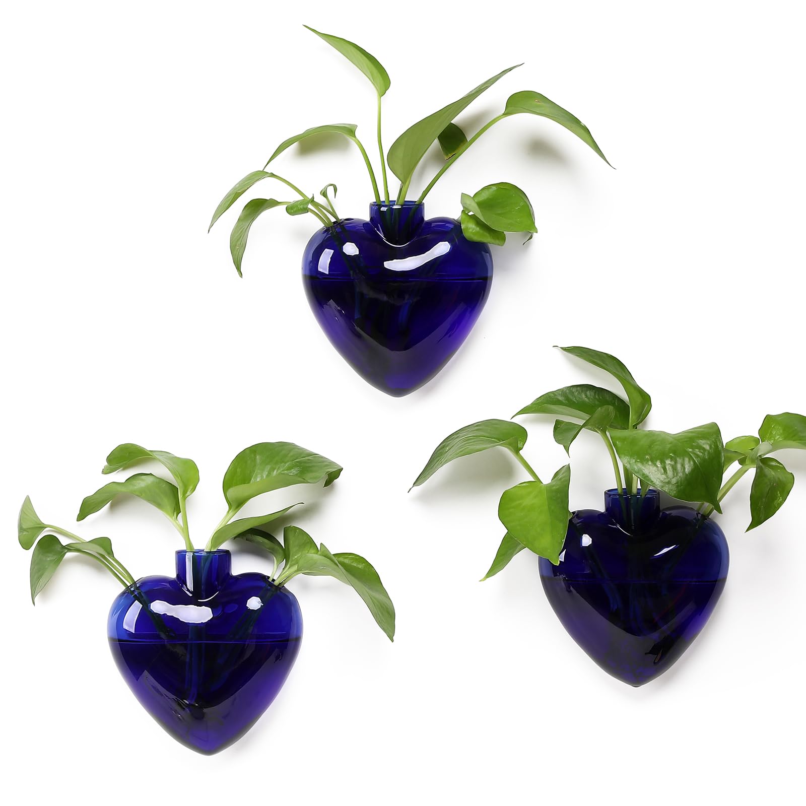 Wall Hanging Planter Propagation Station for Indoor Plants Glass Vase Air Plant Holder Gift for Women Girlfriend Plant Lover