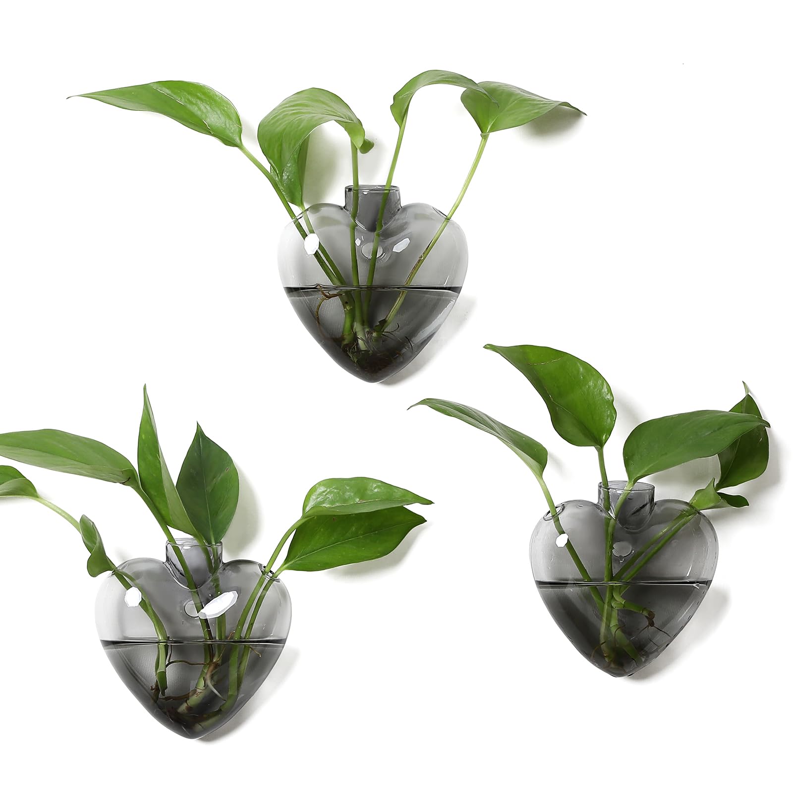 Wall Hanging Planter Propagation Station for Indoor Plants Glass Vase Air Plant Holder Gift for Women Girlfriend Plant Lover