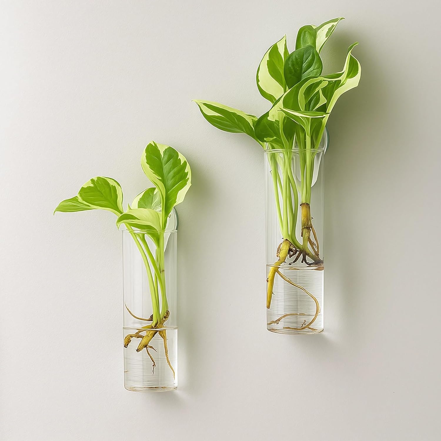 6 Pcs Glass Wall Vases, Wall Hanging Vases for Hydroponic Plants, Hanging Planters, Transparent Cylinder Design with Traceless Hangers, Ideal for Indoor and Outdoor use