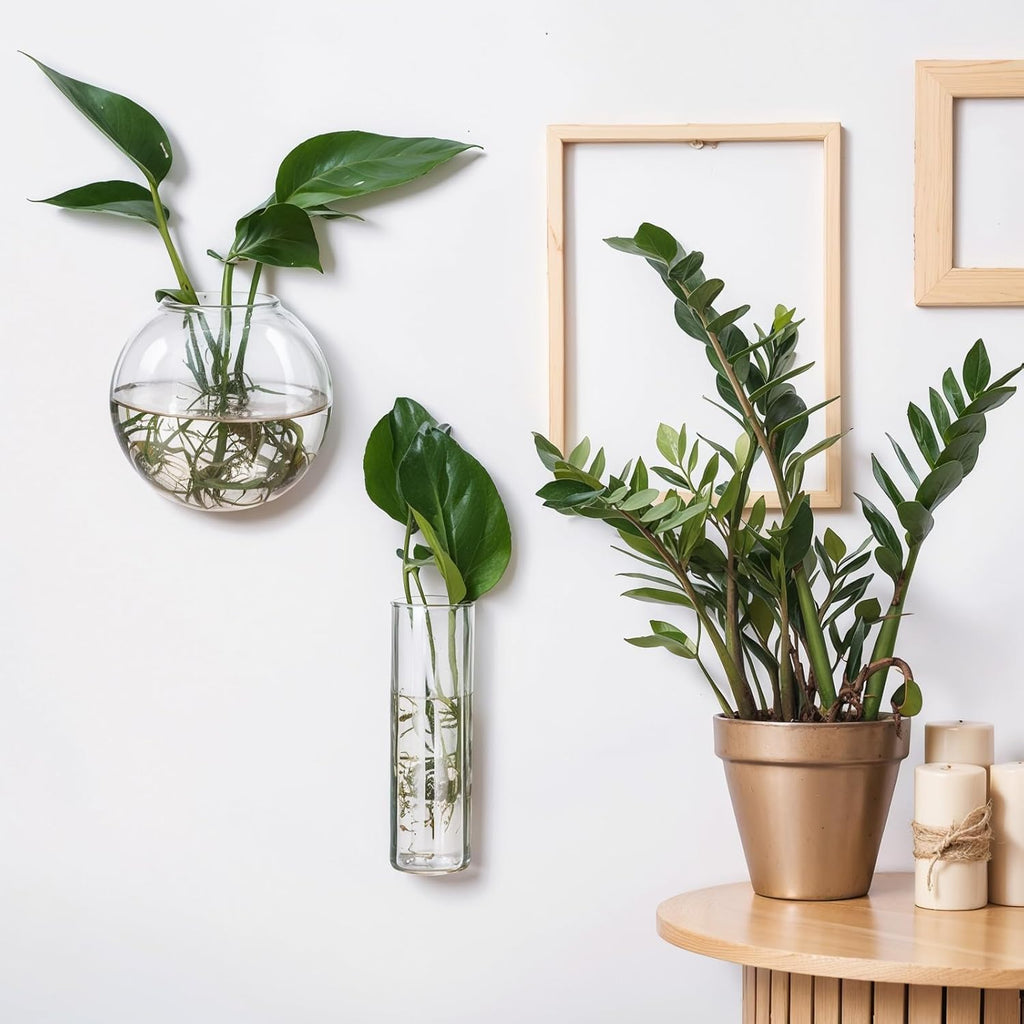 Baderke 6 Pcs Glass Wall Hanging Vase Indoor Propagation Planter with Hanging Suction Cup and Plastic Invisible Traceless Hanger for Hydroponic Flower Succulent Spring Summer Wedding Wall Mount Decor