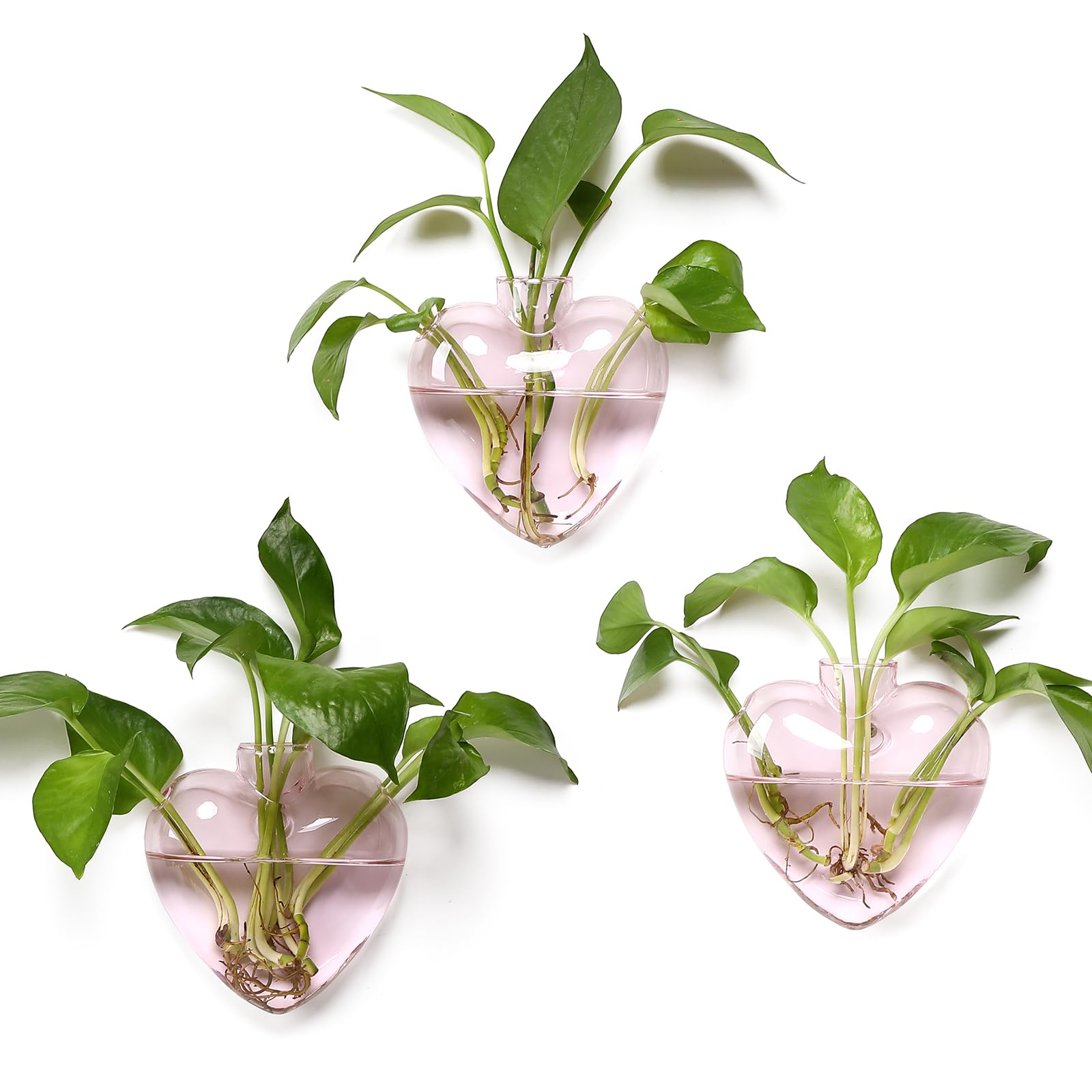 Wall Hanging Planter Propagation Station for Indoor Plants Glass Vase Air Plant Holder Gift for Women Girlfriend Plant Lover