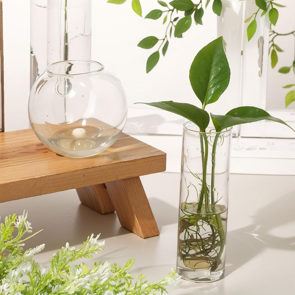 Baderke 6 Pcs Glass Wall Hanging Vase Indoor Propagation Planter with Hanging Suction Cup and Plastic Invisible Traceless Hanger for Hydroponic Flower Succulent Spring Summer Wedding Wall Mount Decor