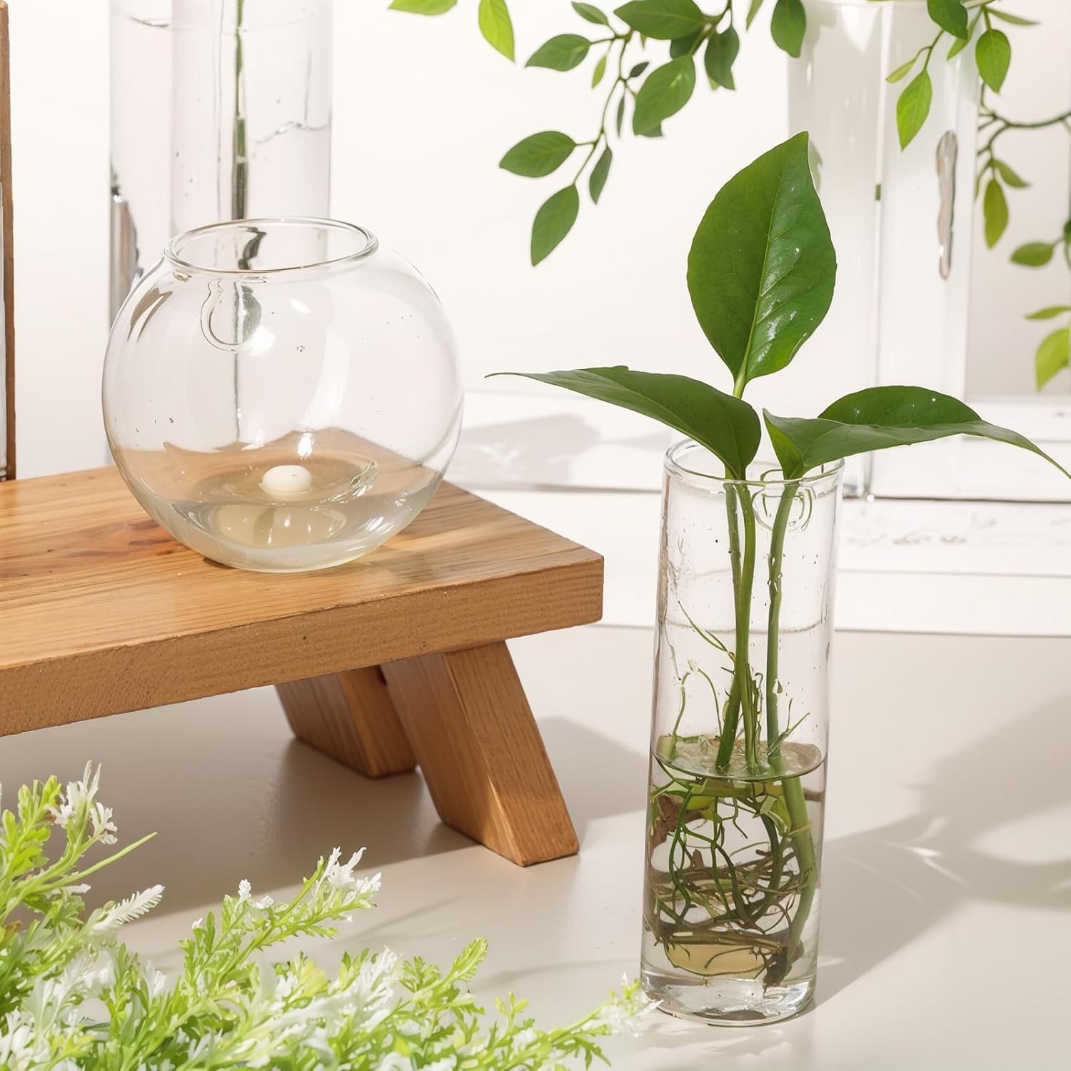 Baderke 6 Pcs Glass Wall Hanging Vase Indoor Propagation Planter with Hanging Suction Cup and Plastic Invisible Traceless Hanger for Hydroponic Flower Succulent Spring Summer Wedding Wall Mount Decor