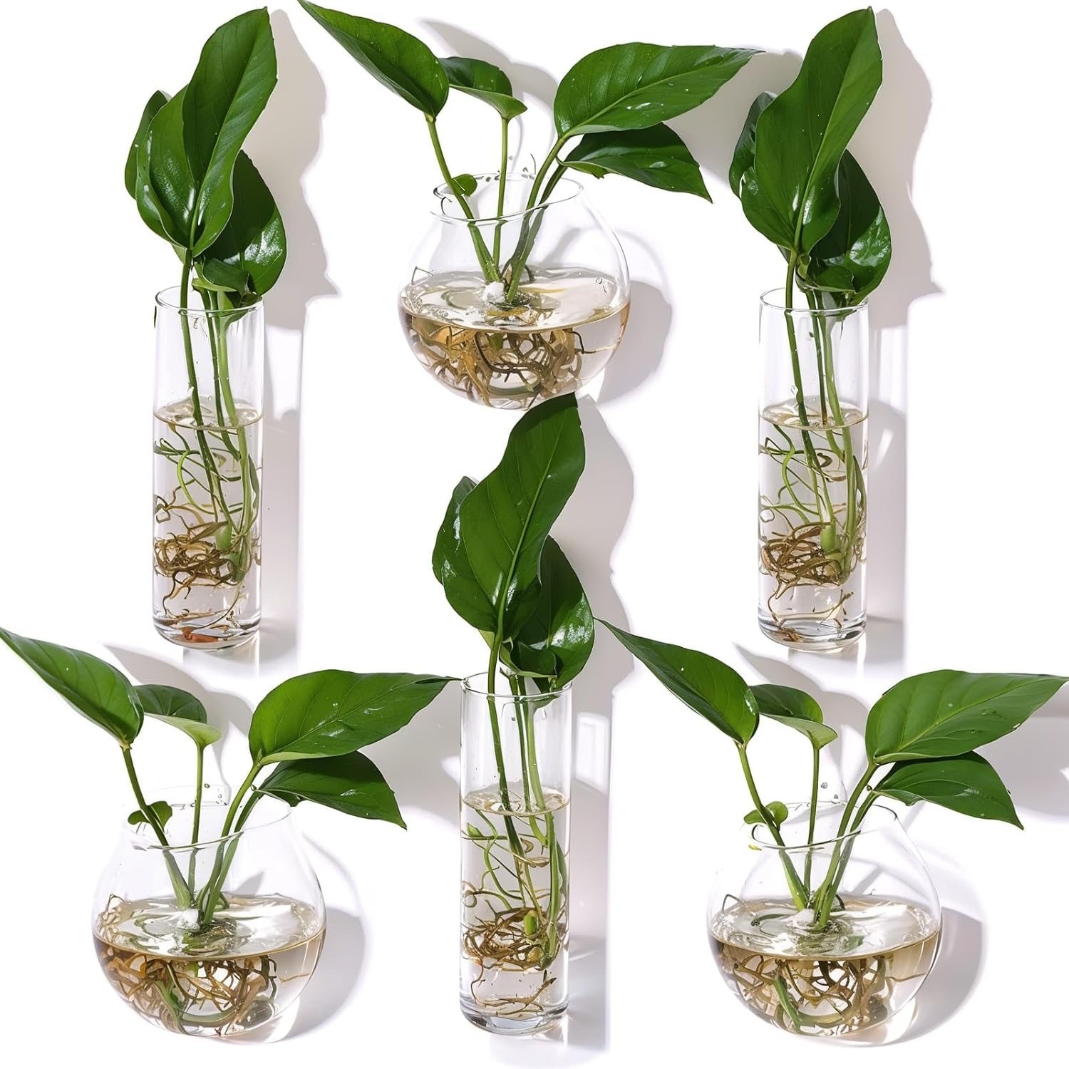 Baderke 6 Pcs Glass Wall Hanging Vase Indoor Propagation Planter with Hanging Suction Cup and Plastic Invisible Traceless Hanger for Hydroponic Flower Succulent Spring Summer Wedding Wall Mount Decor