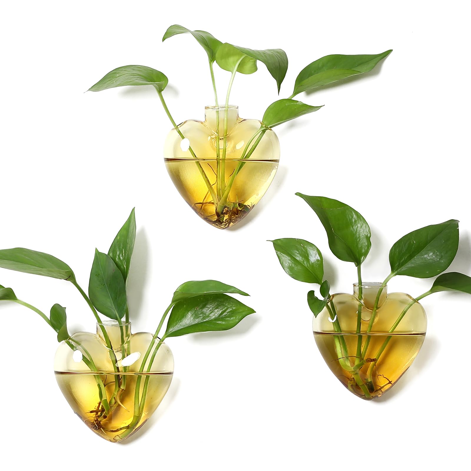 Wall Hanging Planter Propagation Station for Indoor Plants Glass Vase Air Plant Holder Gift for Women Girlfriend Plant Lover