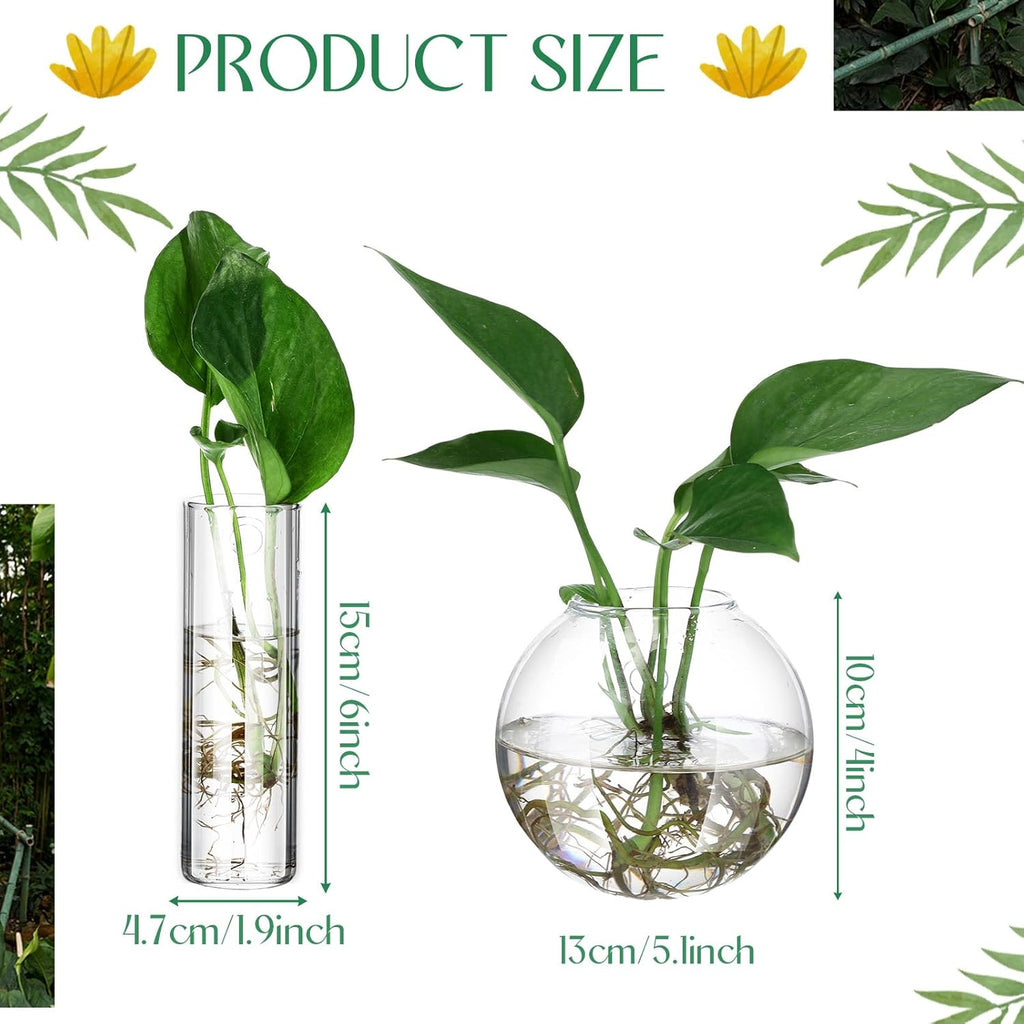 Baderke 6 Pcs Glass Wall Hanging Vase Indoor Propagation Planter with Hanging Suction Cup and Plastic Invisible Traceless Hanger for Hydroponic Flower Succulent Spring Summer Wedding Wall Mount Decor
