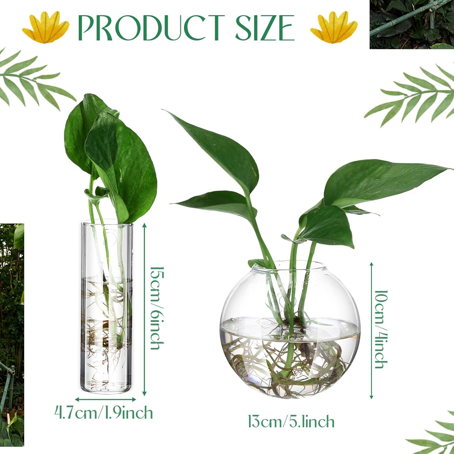 Baderke 6 Pcs Glass Wall Hanging Vase Indoor Propagation Planter with Hanging Suction Cup and Plastic Invisible Traceless Hanger for Hydroponic Flower Succulent Spring Summer Wedding Wall Mount Decor