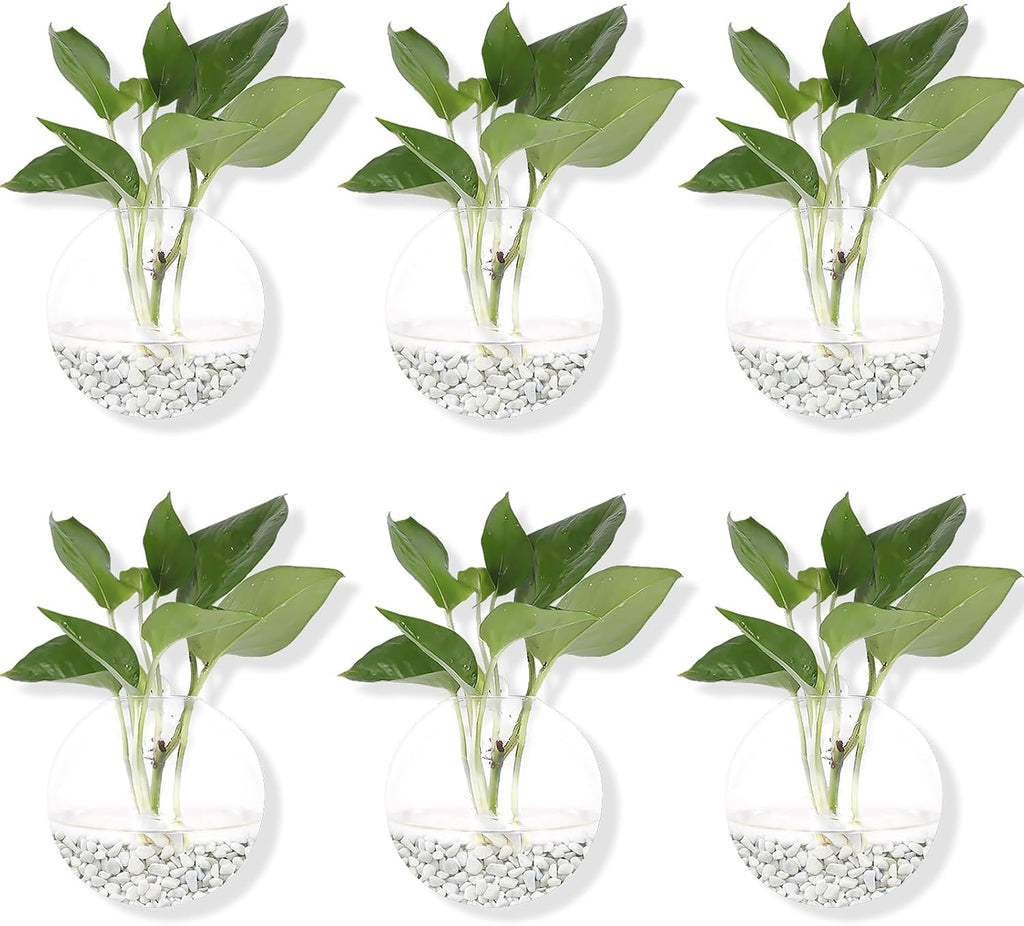 Hanging Wall Planters Pack of 6 Glass Planter Pots Round Glass Flower Vases Hanging Propagation Station Glass Plant Hanger Terrariums Wall Hanging Plant Container