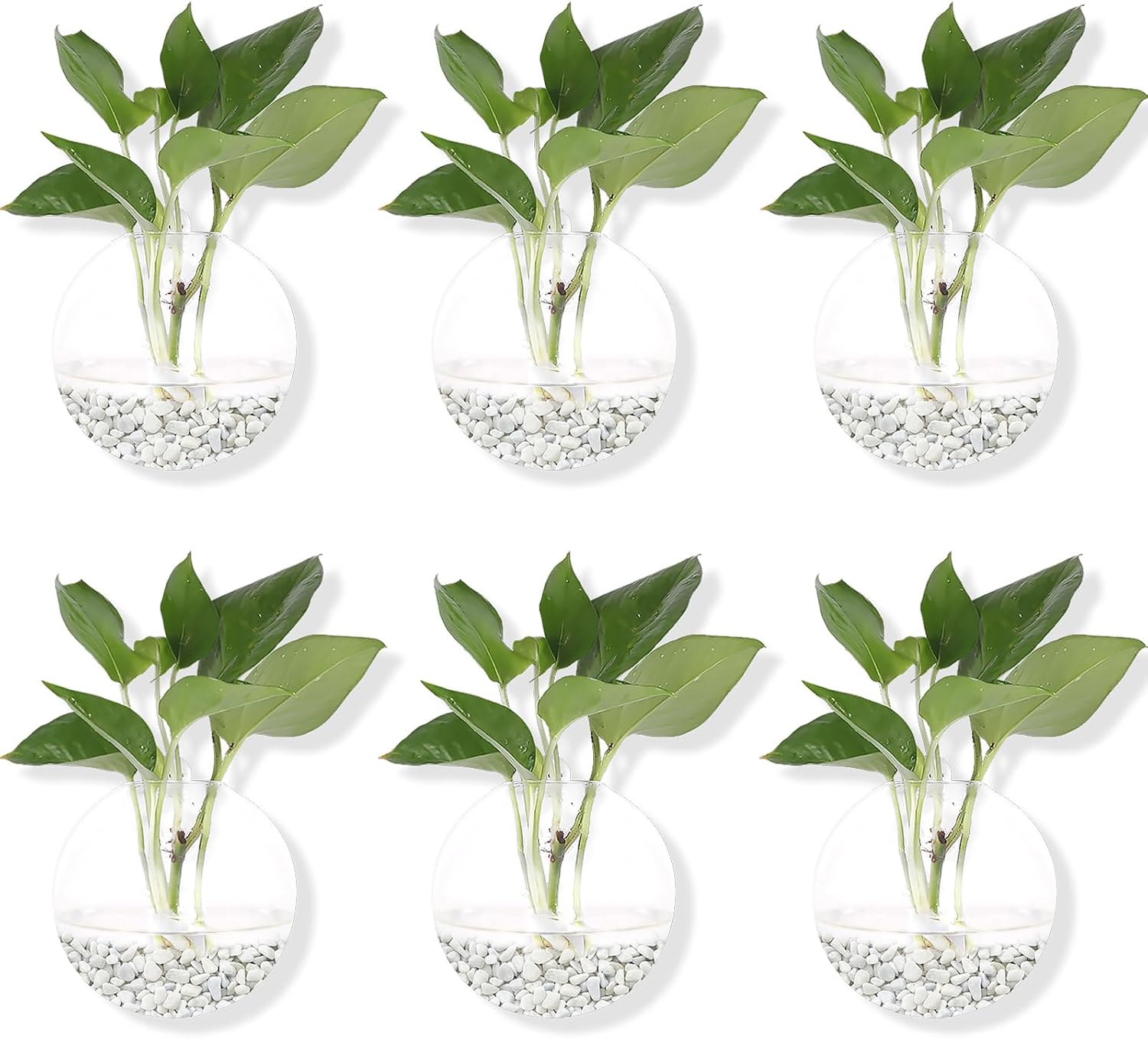 Hanging Wall Planters Pack of 6 Glass Planter Pots Round Glass Flower Vases Hanging Propagation Station Glass Plant Hanger Terrariums Wall Hanging Plant Container