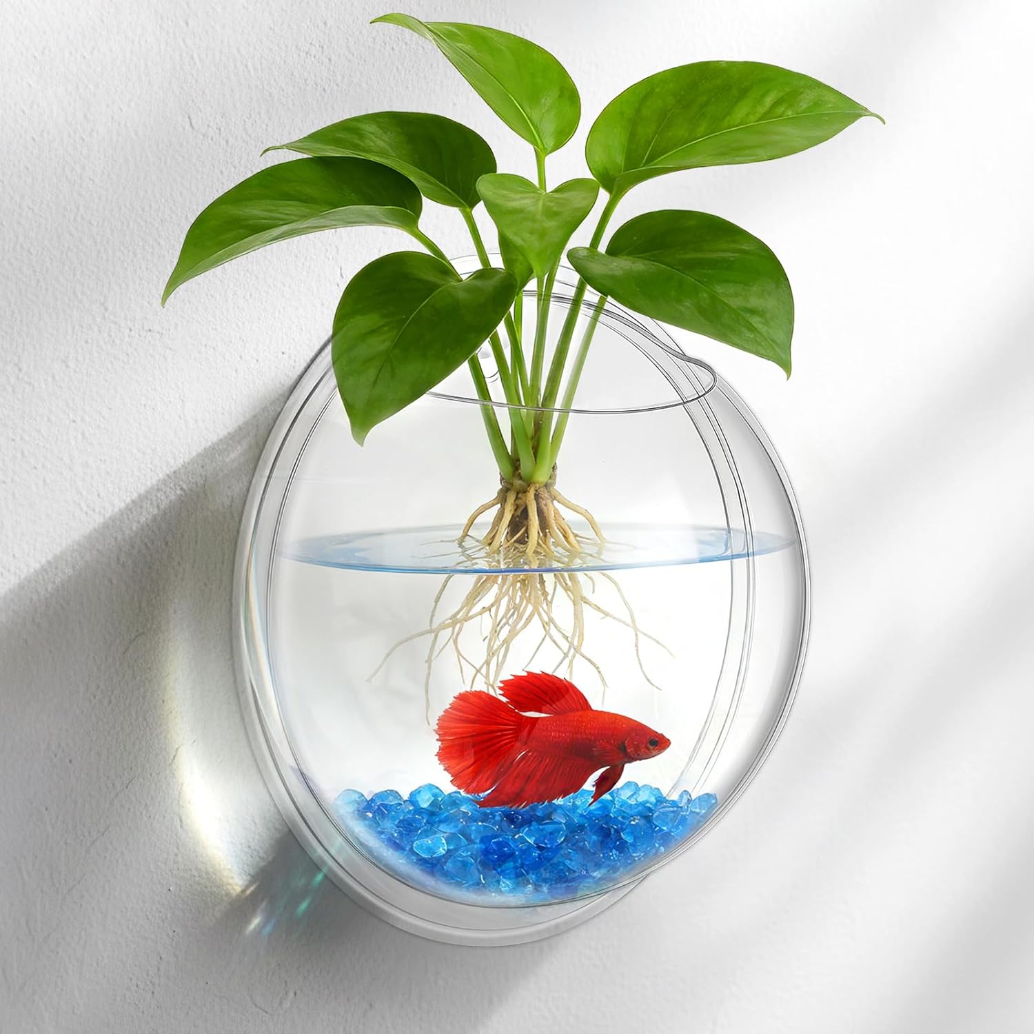 iplusmile Wall Mounted Planter 6.7 Inch, Clear Acrylic Hanging Bubble Vase for Plant Propagation Air Plants, Shatterproof Round Terrarium Bowl for Home Office Decor