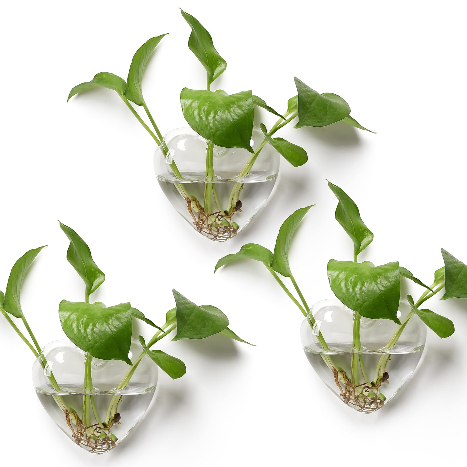 Wall Hanging Planter Propagation Station for Indoor Plants Glass Vase Air Plant Holder Gift for Women Girlfriend Plant Lover