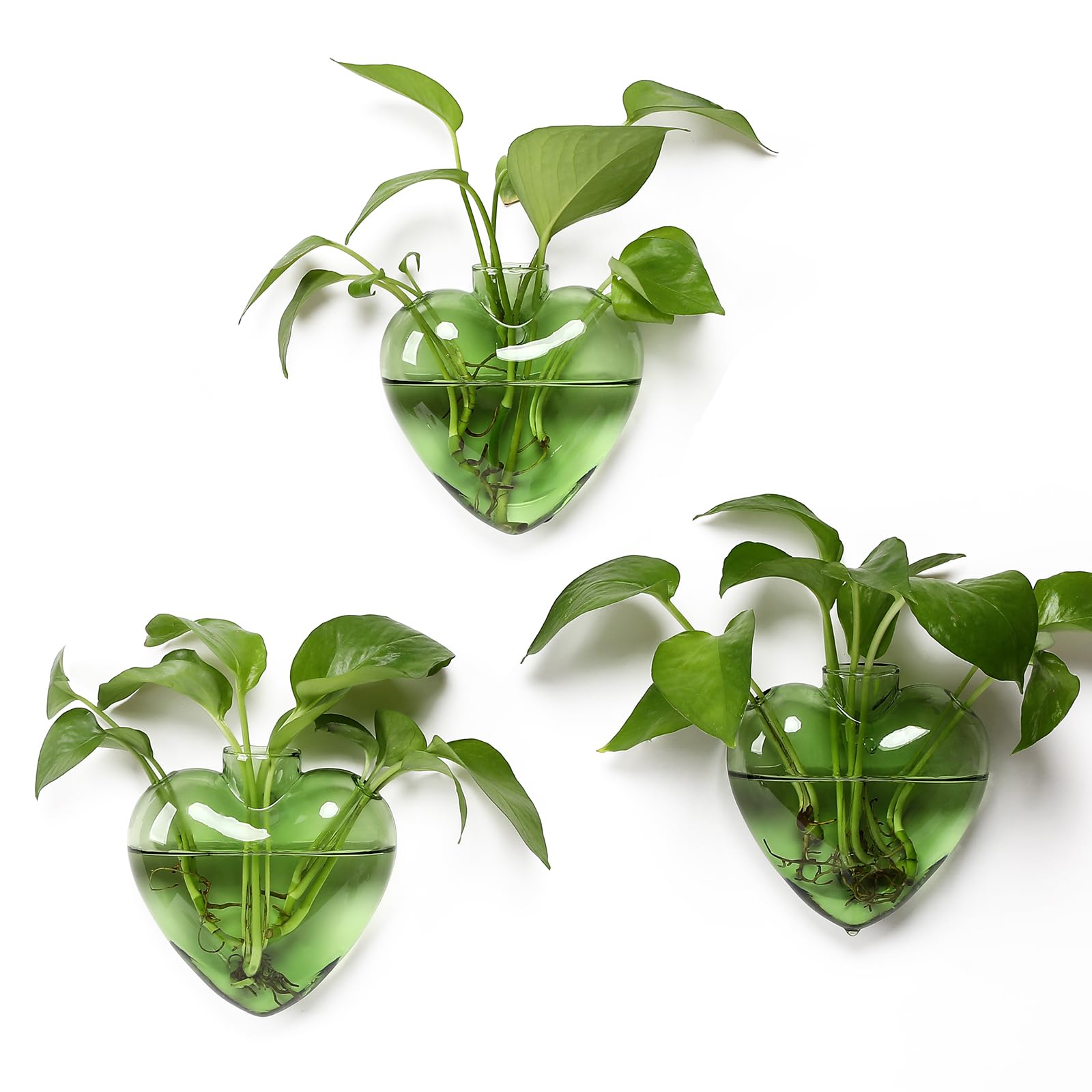 Wall Hanging Planter Propagation Station for Indoor Plants Glass Vase Air Plant Holder Gift for Women Girlfriend Plant Lover