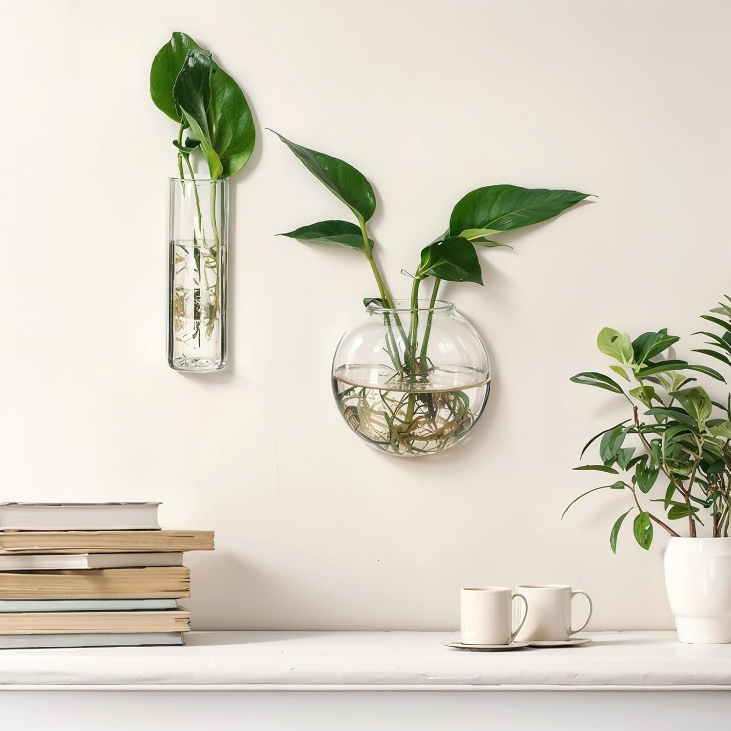 Baderke 6 Pcs Glass Wall Hanging Vase Indoor Propagation Planter with Hanging Suction Cup and Plastic Invisible Traceless Hanger for Hydroponic Flower Succulent Spring Summer Wedding Wall Mount Decor